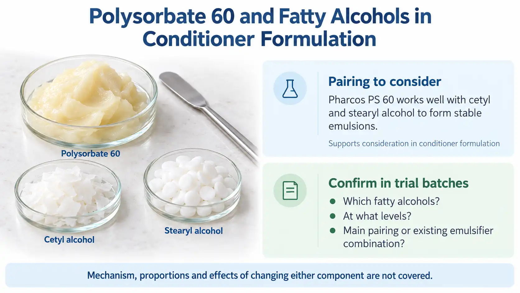 Polysorbate 60 and Fatty Alcohols in Conditioner Formulation